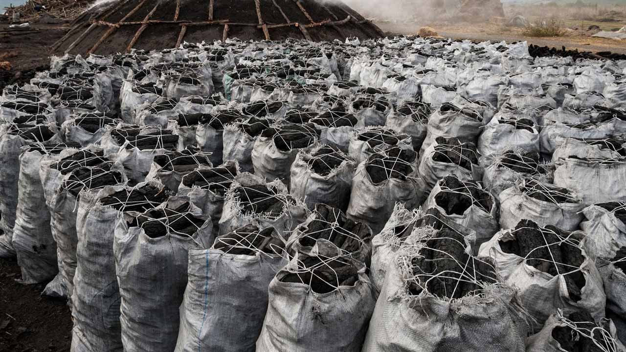 charcoal export business in Nigeria